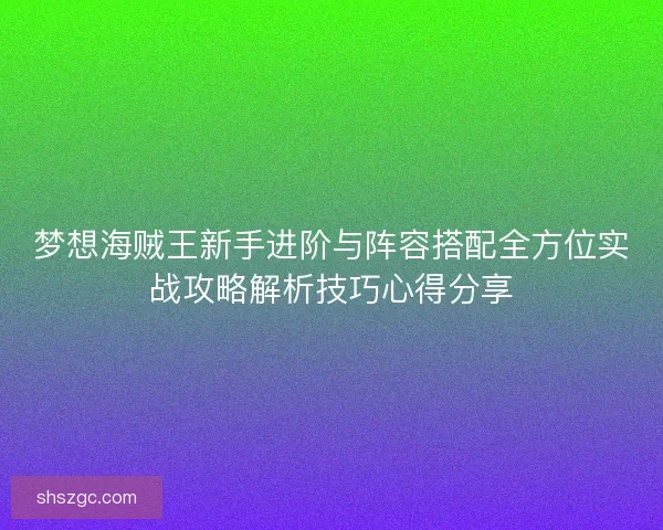 梦想海贼王新手进阶与阵容搭配全方位实战攻略解析技巧心得分享
